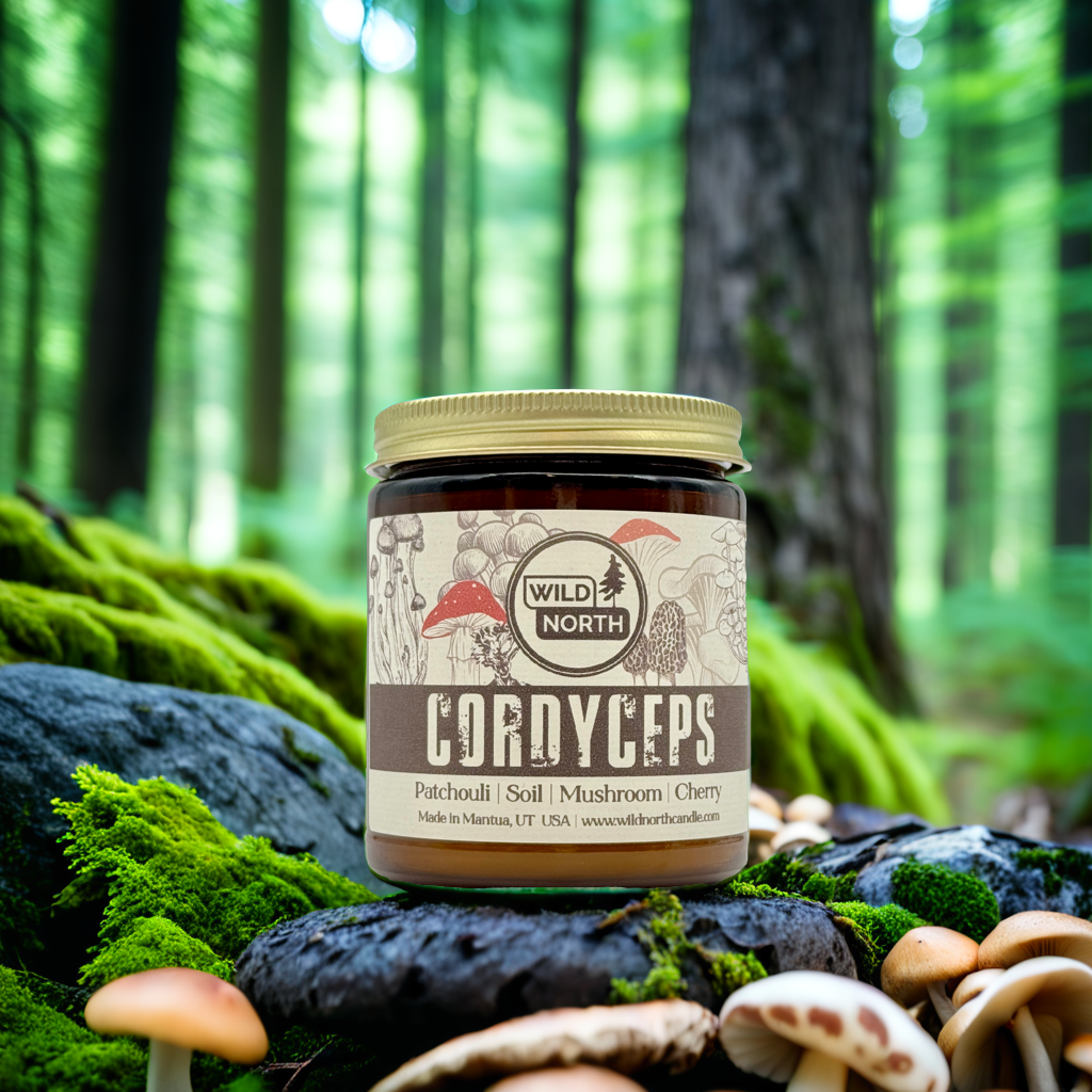 Cordyceps Soy Blend Wax Candle