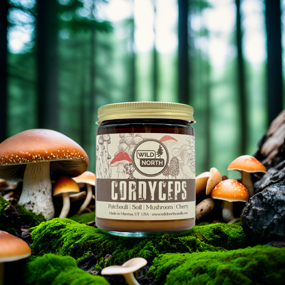Cordyceps Soy Blend Wax Candle