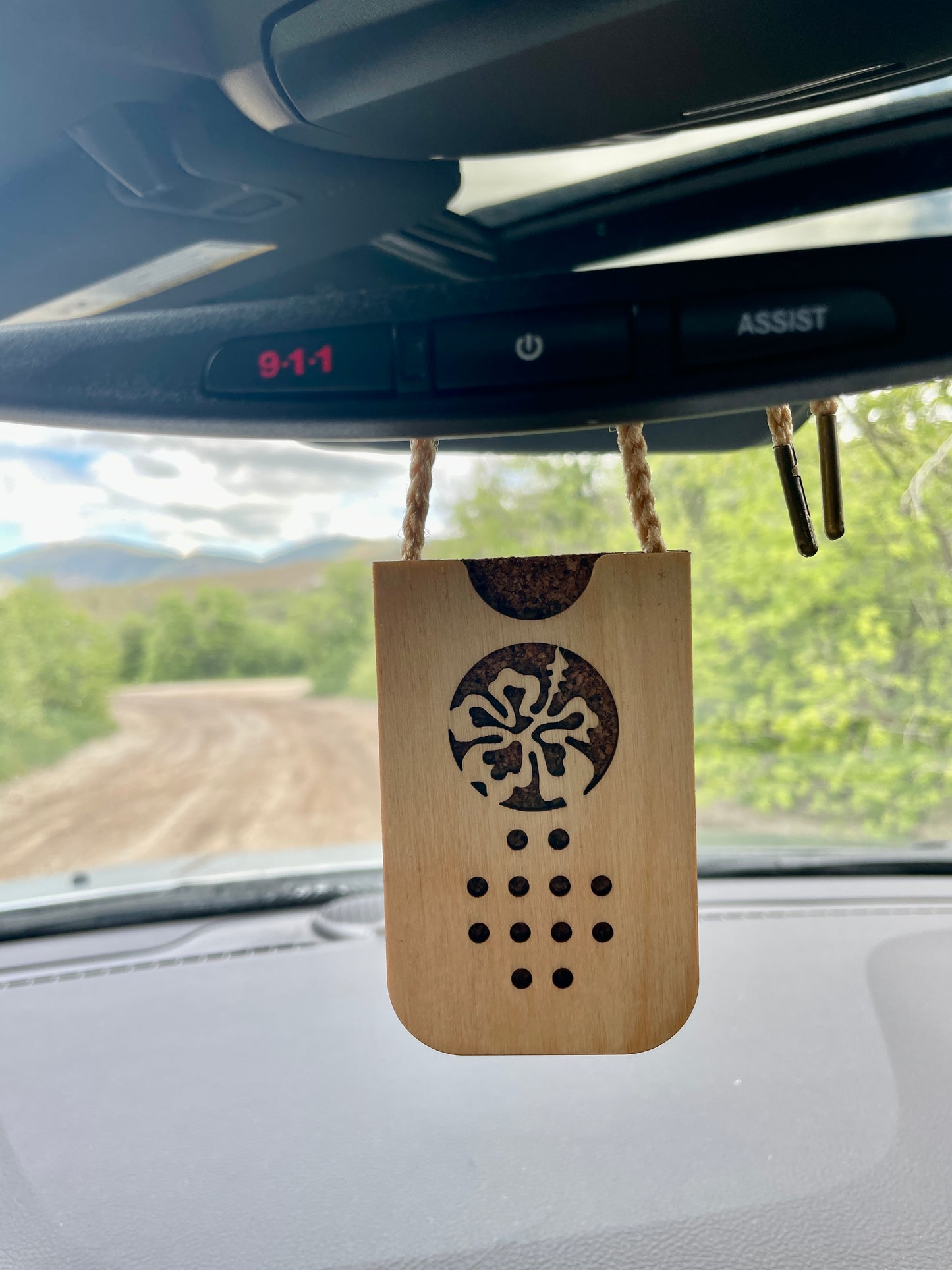 Air Freshener (Hibiscus)